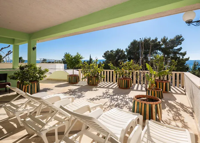 Fortuna - Shared Pool *